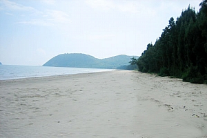 Ngoc Vung Beach