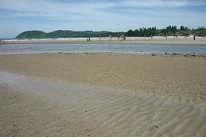 Ngoc Vung Island